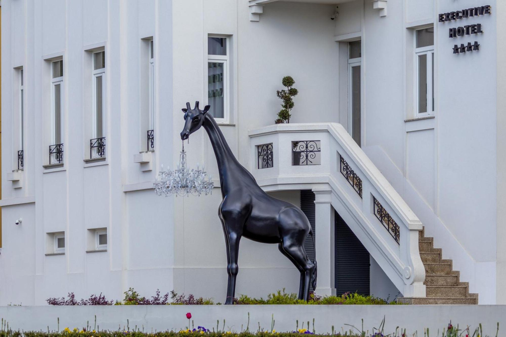 Viseu Executive Hotel Экстерьер фото