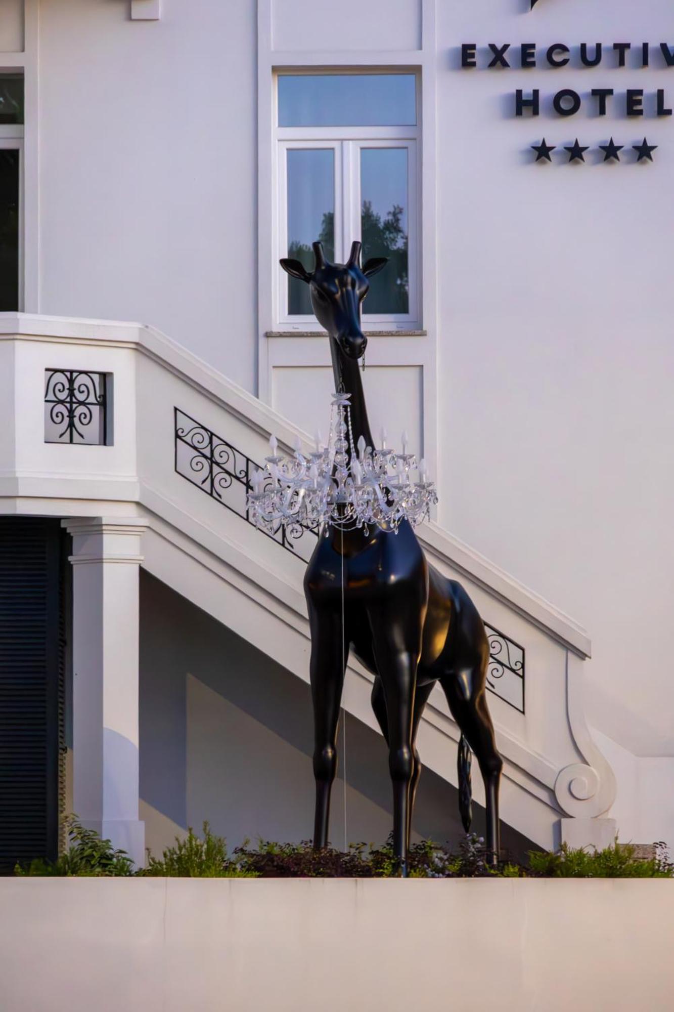 Viseu Executive Hotel Экстерьер фото