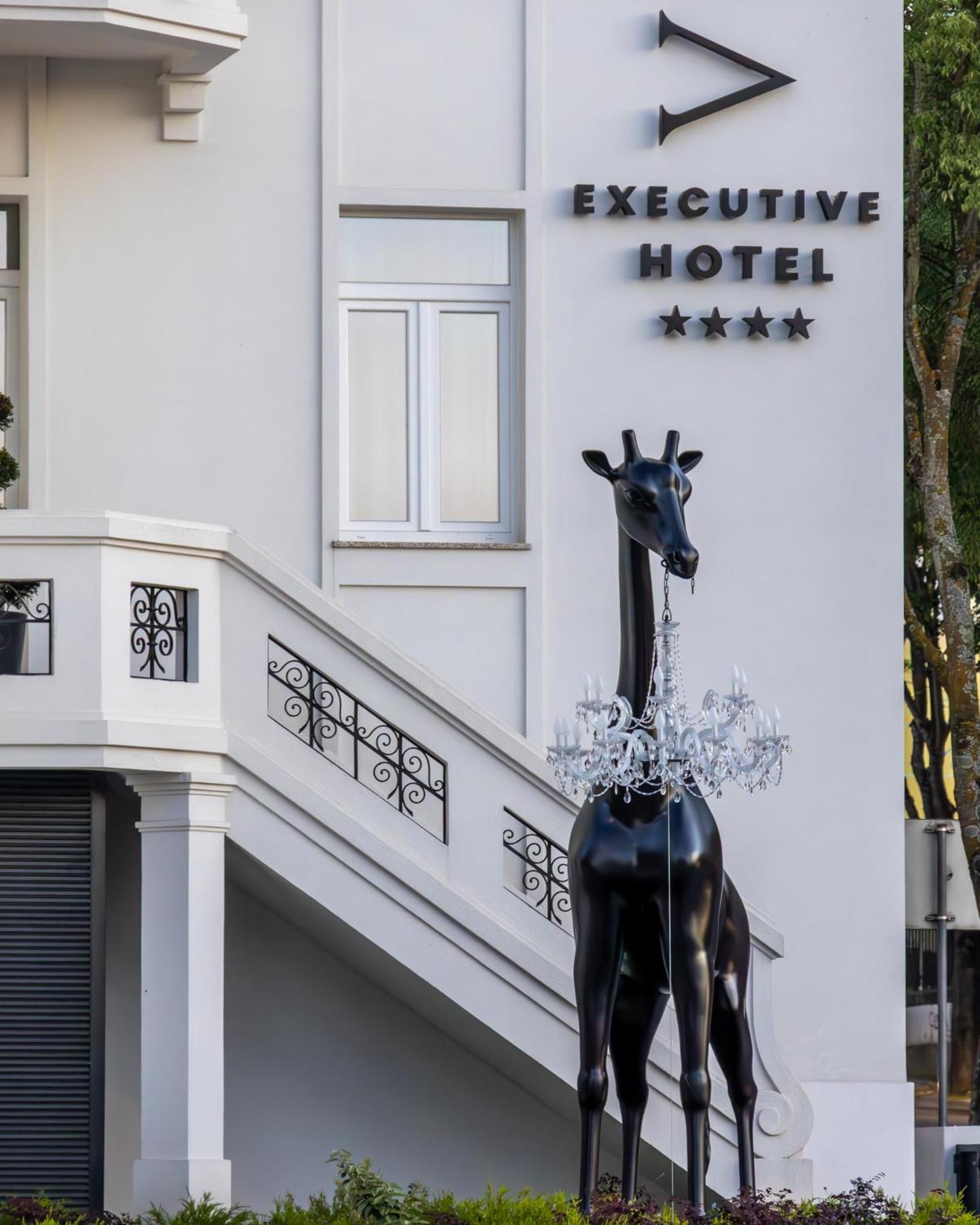 Viseu Executive Hotel Экстерьер фото